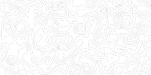 Minimal Gray Contour Background with Abstract Line Texture and Elevation Flow.