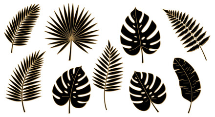 Set of Black and Gold Tropical Leaves