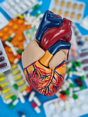 Fototapeta premium Educational model of a human heart surrounded by various medications and pills