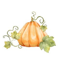 Hand-drawn Orange Pumpkin illustration with Leaves