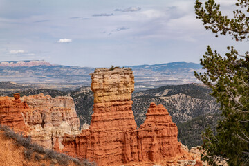Agua Canyon Overlook, Bryce Canyon National Park, Utah. Claron Formation, (Tcp) Pink member;...
