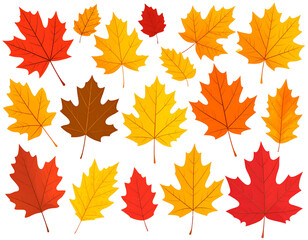Autumn Leaves Set – Transparent Background PNG Clipart of Colorful Fall Foliage
