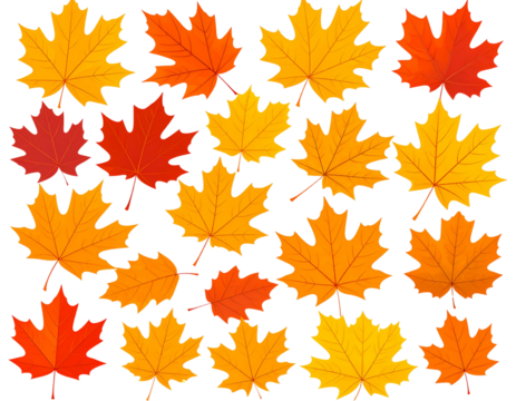 Autumn Leaves Set – Transparent Background PNG Clipart of Colorful Fall Foliage