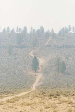 Mountain biker riding down hill on dirt road in smoky landscape