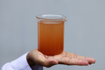 Close-up image of a beaker containing a solid culture of live Artemia (brine shrimp), held in the...