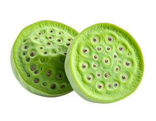 Lotus Seed Pod – Educational Botanical Transparent Background PNG Illustration