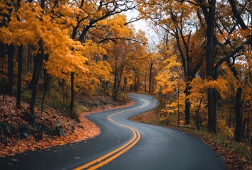 road in autumn forest