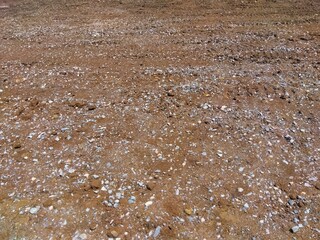 雨上がりの住居解体工事後の更地風景