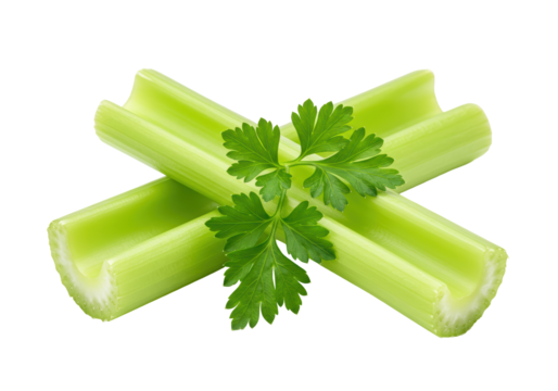 Isolated Fresh Celery Sticks with Sprig of Parsley