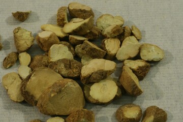 Dried Corydalis Tuber Pieces (Hyeonhosaek) Spread for Traditional Korean Medicinal Use