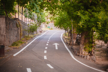 road in the woods