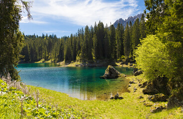 The clear, emerald-turquoise waters of Lake Carezza, framed by a dense pine forest and lush green...