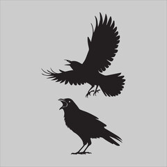 Obraz premium Crows in Conflict