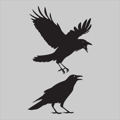Fototapeta premium Crow Flock Argument