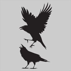 Fototapeta premium Crow Flock Argument
