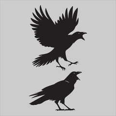 Fototapeta premium Crow Flock Argument