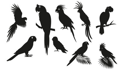 Obraz premium set of silhouettes of birds