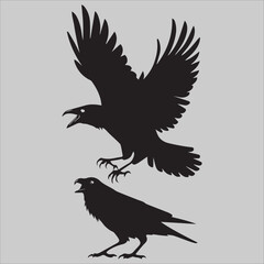 Obraz premium Flying Crow Attacks