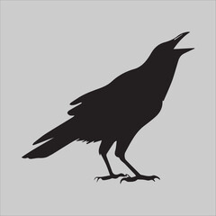 Fototapeta premium WebFlying Crow Attacks
