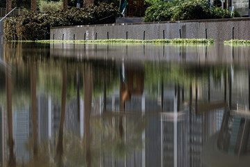 Pond in the park, landscaping, arrangement of urban spaces.