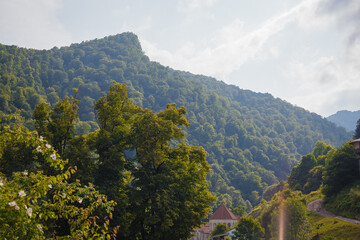 mountain landscape in the morning