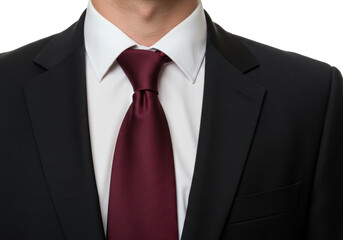 Isolated Man's Suit with Burgundy Textured Tie