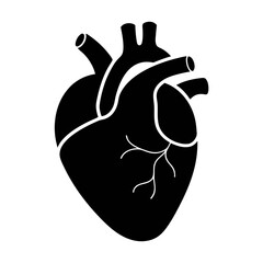 Detailed black human heart silhouette isolated on white background