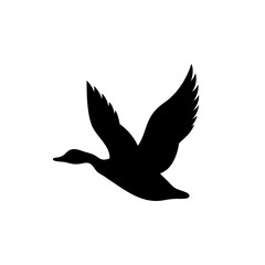 A black silhouette of a flying duck isolated on white background