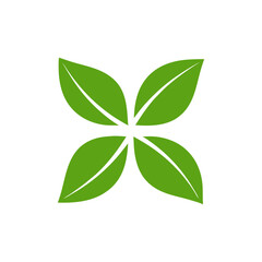 A symmetrical arrangement of four green leaves on a white background forming a clover shape