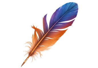 Isolated Colorful Feather Detailed Bird Plumage
