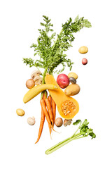 Fresh carrots butternut squash and potatoes arranged on a gray surface isolated on transparent...