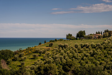 Marche. Spectacular summer panorama of the Marche hills and Adriatic sea