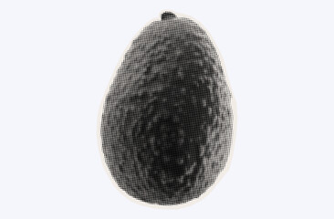 One raw avocado, ripe exotic fruit in halftone modern art style. Cutout from magazine for collage design with grunge texture. Peruvian pear, raw avocado, healthy ingredient. Vector