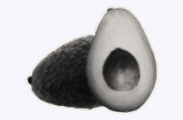 Raw avocado, ripe exotic fruit in halftone modern art style. Cutout from magazine for collage design with grunge texture. Peruvian pear, raw avocado, healthy ingredient. Vector, black and white.