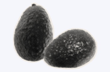 Two raw avocados., ripe exotic fruit in halftone modern art style. Cutout from magazine for collage design with grunge texture. Peruvian pear, raw avocado, healthy ingredient. Vector