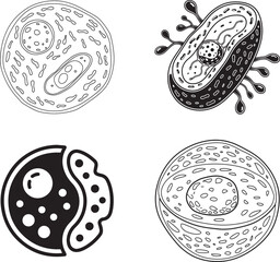 Cell Vector Icon | Black and White Biological Structure Symbol on Blank Background