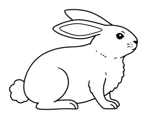 hand drawn rabbit vector illustration
