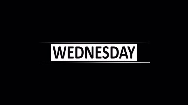 Weekly Calendar animation video from monday to sunday with transparent background. blinking week animation through day by day, Calendar animation of week.