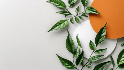 Green leaves resting on white and orange circles over a white background