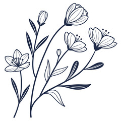 Whimsical Line Botanicals