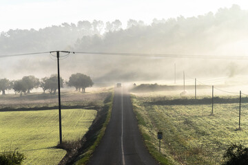 Asphalt road between fields that lead towards the cloudy mountain.