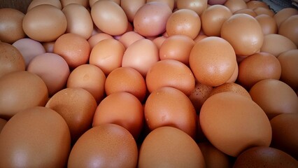 Close up of omega eggs for food market background 