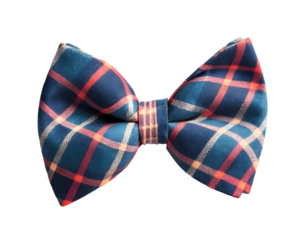 Plaid party bow tie isolated on transparent background