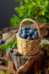 Small wicker basket filled with ripe blueberries.