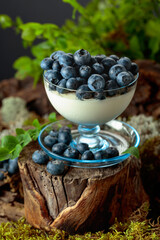 Mascarpone cream with fresh blueberries served in a clear bowl.