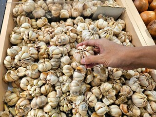 A hand selecting fresh garlic from grocery store display. Useful for cooking tutorials, healthy...