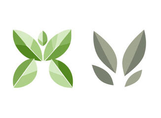 green leaves isolated