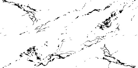 A high-contrast black and white abstract pattern resembling natural marble veins or intricate cracks on a white surface,characterized by thin,winding lines and small,irregular black speckles and ciust