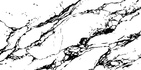 "A high-contrast black and white abstract pattern resembling natural marble veining or intricate cracked ice, with organic, flowing lines and fragmented shapes."
