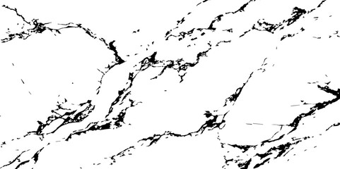 Fototapeta premium A high-contrast black and white abstract pattern resembling natural marble veins or intricate cracks on a white surface,characterized by thin,winding lines and small,irregular black speckles and ciust